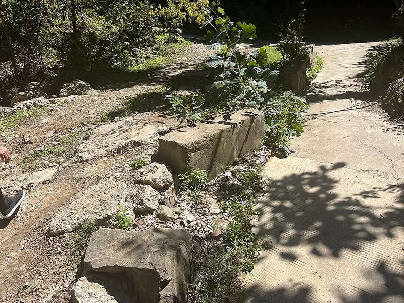 天鹅湖湿地公园